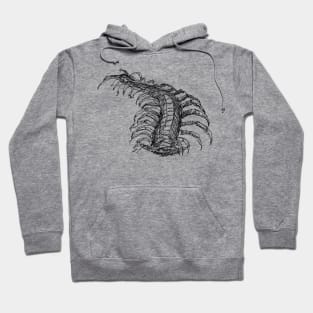 Centipede drawing Hoodie